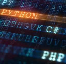 python's article